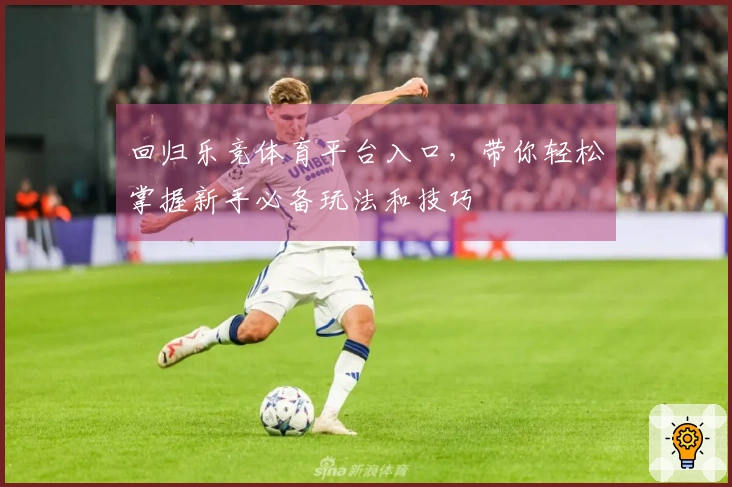 回归乐竞体育平台入口，带你轻松掌握新手必备玩法和技巧
