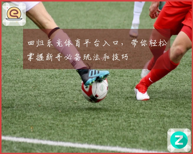 回归乐竞体育平台入口，带你轻松掌握新手必备玩法和技巧